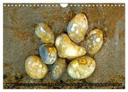 Steinzauberwelten - Steine sammeln auf Rügen (Wandkalender 2024 DIN A4 quer), CALVENDO Monatskalender - Abbildung 6