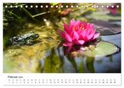 Der Frosch im Seerosenteich (Tischkalender 2024 DIN A5 quer), CALVENDO Monatskalender - Abbildung 4