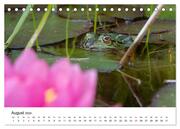 Der Frosch im Seerosenteich (Tischkalender 2024 DIN A5 quer), CALVENDO Monatskalender - Abbildung 10