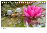 Der Frosch im Seerosenteich (Tischkalender 2024 DIN A5 quer), CALVENDO Monatskalender - Abbildung 12