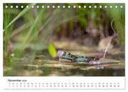 Der Frosch im Seerosenteich (Tischkalender 2024 DIN A5 quer), CALVENDO Monatskalender - Abbildung 13