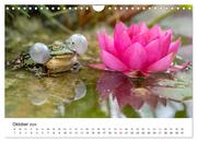 Der Frosch im Seerosenteich (Wandkalender 2024 DIN A4 quer), CALVENDO Monatskalender - Abbildung 12