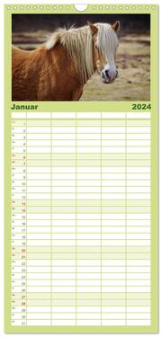 Familienplaner 2024 - Der Pferdekalender mit 5 Spalten (Wandkalender, 21 x 45 cm) CALVENDO - Abbildung 2