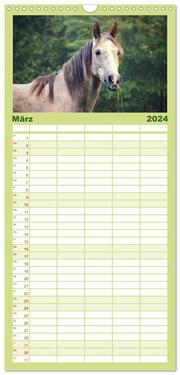 Familienplaner 2024 - Der Pferdekalender mit 5 Spalten (Wandkalender, 21 x 45 cm) CALVENDO - Abbildung 4