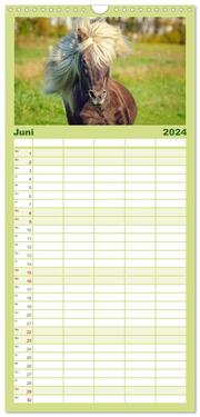 Familienplaner 2024 - Der Pferdekalender mit 5 Spalten (Wandkalender, 21 x 45 cm) CALVENDO - Abbildung 7