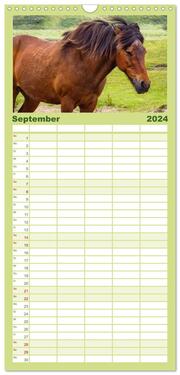 Familienplaner 2024 - Der Pferdekalender mit 5 Spalten (Wandkalender, 21 x 45 cm) CALVENDO - Abbildung 10