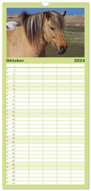 Familienplaner 2024 - Der Pferdekalender mit 5 Spalten (Wandkalender, 21 x 45 cm) CALVENDO - Abbildung 11