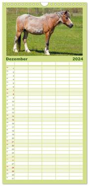 Familienplaner 2024 - Der Pferdekalender mit 5 Spalten (Wandkalender, 21 x 45 cm) CALVENDO - Abbildung 13