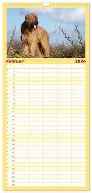Familienplaner 2024 - Der Briard - Ein echter Charmeur mit 5 Spalten (Wandkalender, 21 x 45 cm) CALVENDO - Abbildung 3