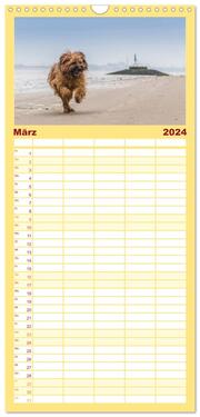 Familienplaner 2024 - Der Briard - Ein echter Charmeur mit 5 Spalten (Wandkalender, 21 x 45 cm) CALVENDO - Abbildung 4