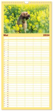 Familienplaner 2024 - Der Briard - Ein echter Charmeur mit 5 Spalten (Wandkalender, 21 x 45 cm) CALVENDO - Abbildung 6