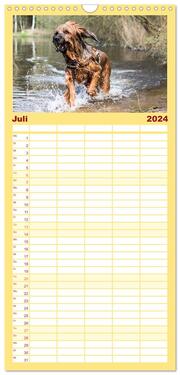 Familienplaner 2024 - Der Briard - Ein echter Charmeur mit 5 Spalten (Wandkalender, 21 x 45 cm) CALVENDO - Abbildung 8