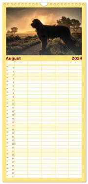 Familienplaner 2024 - Der Briard - Ein echter Charmeur mit 5 Spalten (Wandkalender, 21 x 45 cm) CALVENDO - Abbildung 9