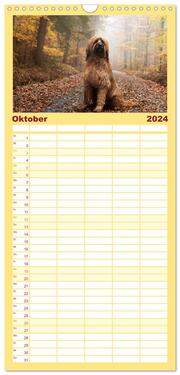 Familienplaner 2024 - Der Briard - Ein echter Charmeur mit 5 Spalten (Wandkalender, 21 x 45 cm) CALVENDO - Abbildung 11