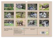 Der Timberwolf - Der Jäger aus den Rocky Mountains (Wandkalender 2024 DIN A3 quer), CALVENDO Monatskalender - Abbildung 1