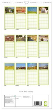 Familienplaner 2024 - Schafe - Weich und wollig mit 5 Spalten (Wandkalender, 21 x 45 cm) CALVENDO - Abbildung 1