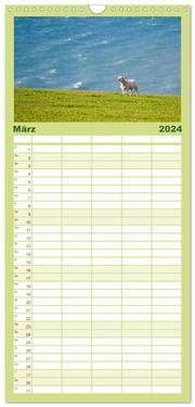 Familienplaner 2024 - Schafe - Weich und wollig mit 5 Spalten (Wandkalender, 21 x 45 cm) CALVENDO - Abbildung 4