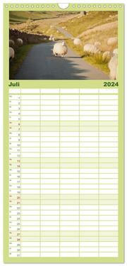 Familienplaner 2024 - Schafe - Weich und wollig mit 5 Spalten (Wandkalender, 21 x 45 cm) CALVENDO - Abbildung 8