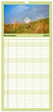 Familienplaner 2024 - Schafe - Weich und wollig mit 5 Spalten (Wandkalender, 21 x 45 cm) CALVENDO - Abbildung 12