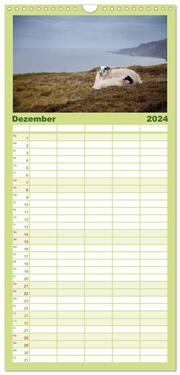 Familienplaner 2024 - Schafe - Weich und wollig mit 5 Spalten (Wandkalender, 21 x 45 cm) CALVENDO - Abbildung 13