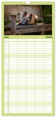 Familienplaner 2024 - Belgischer Schäferhund - Der Malinois mit 5 Spalten (Wandkalender, 21 x 45 cm) CALVENDO - Abbildung 8