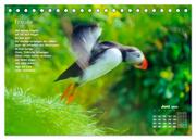 Lichtblicke für Auge und Seele - Der Kalender (Tischkalender 2024 DIN A5 quer), CALVENDO Monatskalender - Abbildung 8