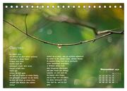 Lichtblicke für Auge und Seele - Der Kalender (Tischkalender 2024 DIN A5 quer), CALVENDO Monatskalender - Abbildung 13
