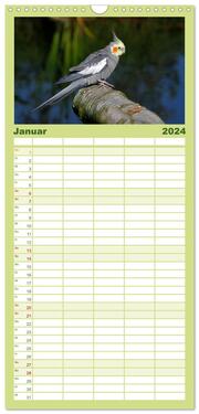 Familienplaner 2024 - Nymphensittiche mit 5 Spalten (Wandkalender, 21 x 45 cm) CALVENDO - Abbildung 2