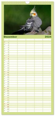 Familienplaner 2024 - Nymphensittiche mit 5 Spalten (Wandkalender, 21 x 45 cm) CALVENDO - Abbildung 13