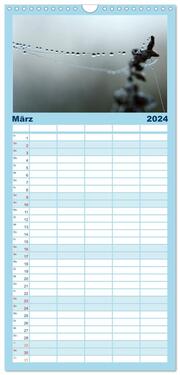 Familienplaner 2024 - AQUA 2024 mit 5 Spalten (Wandkalender, 21 x 45 cm) CALVENDO - Abbildung 4