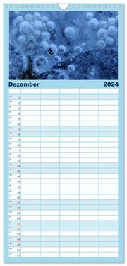 Familienplaner 2024 - AQUA 2024 mit 5 Spalten (Wandkalender, 21 x 45 cm) CALVENDO - Abbildung 13