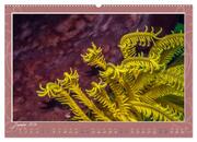 Unterwasser Kunstwerke (hochwertiger Premium Wandkalender 2024 DIN A2 quer), Kunstdruck in Hochglanz - Abbildung 2