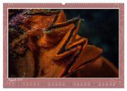 Unterwasser Kunstwerke (hochwertiger Premium Wandkalender 2024 DIN A2 quer), Kunstdruck in Hochglanz - Abbildung 9