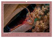 Unterwasser Kunstwerke (hochwertiger Premium Wandkalender 2024 DIN A2 quer), Kunstdruck in Hochglanz - Abbildung 12
