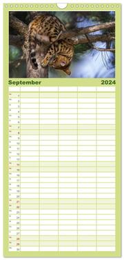 Familienplaner 2024 - Bengalen Outdoor und Action mit 5 Spalten (Wandkalender, 21 x 45 cm) CALVENDO - Abbildung 10