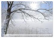 Winter. Zauberhafte Schneelandschaften (Tischkalender 2024 DIN A5 quer), CALVENDO Monatskalender - Abbildung 5