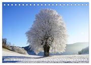 Winter. Zauberhafte Schneelandschaften (Tischkalender 2024 DIN A5 quer), CALVENDO Monatskalender - Abbildung 13