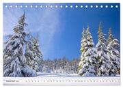 Winter. Zauberhafte Schneelandschaften (Tischkalender 2024 DIN A5 quer), CALVENDO Monatskalender - Abbildung 14