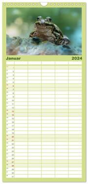 Familienplaner 2024 - Glückliche Frösche mit 5 Spalten (Wandkalender, 21 x 45 cm) CALVENDO - Abbildung 2