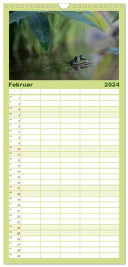 Familienplaner 2024 - Glückliche Frösche mit 5 Spalten (Wandkalender, 21 x 45 cm) CALVENDO - Abbildung 3