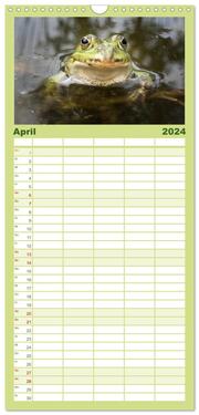 Familienplaner 2024 - Glückliche Frösche mit 5 Spalten (Wandkalender, 21 x 45 cm) CALVENDO - Abbildung 5