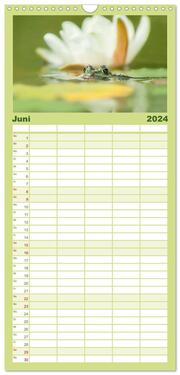 Familienplaner 2024 - Glückliche Frösche mit 5 Spalten (Wandkalender, 21 x 45 cm) CALVENDO - Abbildung 7