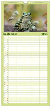 Familienplaner 2024 - Glückliche Frösche mit 5 Spalten (Wandkalender, 21 x 45 cm) CALVENDO - Abbildung 10
