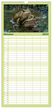Familienplaner 2024 - Glückliche Frösche mit 5 Spalten (Wandkalender, 21 x 45 cm) CALVENDO - Abbildung 11