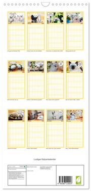 Familienplaner 2024 - Lustiger Katzenkalender mit 5 Spalten (Wandkalender, 21 x 45 cm) CALVENDO - Abbildung 1