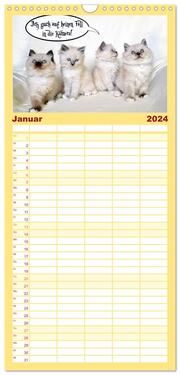 Familienplaner 2024 - Lustiger Katzenkalender mit 5 Spalten (Wandkalender, 21 x 45 cm) CALVENDO - Abbildung 2