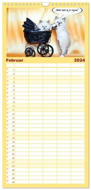 Familienplaner 2024 - Lustiger Katzenkalender mit 5 Spalten (Wandkalender, 21 x 45 cm) CALVENDO - Abbildung 3