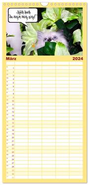 Familienplaner 2024 - Lustiger Katzenkalender mit 5 Spalten (Wandkalender, 21 x 45 cm) CALVENDO - Abbildung 4