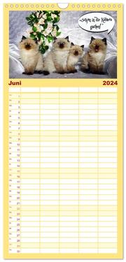 Familienplaner 2024 - Lustiger Katzenkalender mit 5 Spalten (Wandkalender, 21 x 45 cm) CALVENDO - Abbildung 7