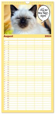 Familienplaner 2024 - Lustiger Katzenkalender mit 5 Spalten (Wandkalender, 21 x 45 cm) CALVENDO - Abbildung 9